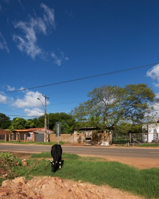 https://www.federicocairoli.com:443/files/gimgs/th-121_02_Vivienda Lui - © Federico Cairoli (low).jpg
