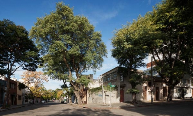 https://www.federicocairoli.com:443/files/gimgs/th-73_32_Casa Palmar - © Federico Cairoli (low).jpg