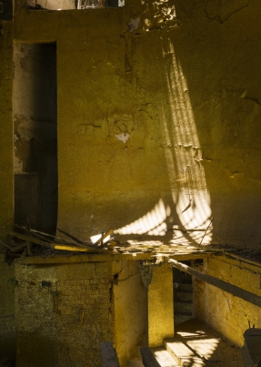 https://www.federicocairoli.com:443/files/gimgs/th-316_25_IED LAB, relev - © Federico Cairoli (low).jpg