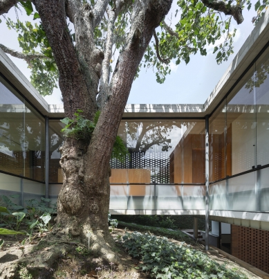https://www.federicocairoli.com:443/files/gimgs/th-378_19_Casa Mulungu_Ronsenbusch - © Federico Cairoli (low).jpg
