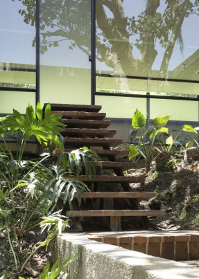 https://www.federicocairoli.com:443/files/gimgs/th-378_18_Casa Mulungu_Ronsenbusch - © Federico Cairoli (low).jpg
