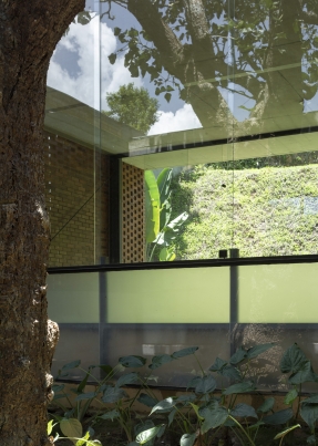 https://www.federicocairoli.com:443/files/gimgs/th-378_21_Casa Mulungu_Ronsenbusch - © Federico Cairoli (low).jpg